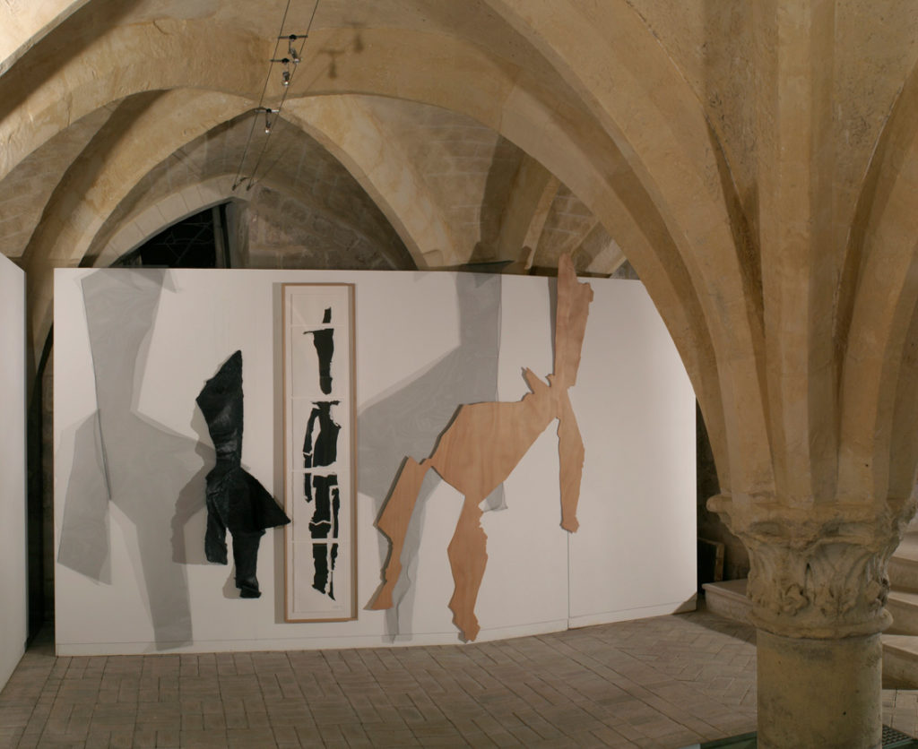 Cortège des transfigurations et des déchéances, Ghislaine Vappereau, exposition Cortège des transfigurations et des déchéances, exposition Se retourner, Beauvais, 2005